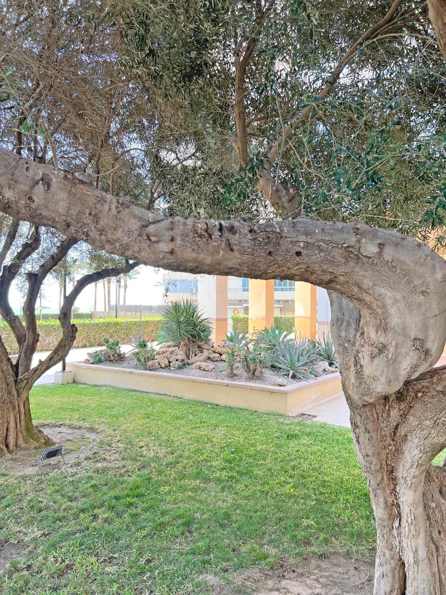 Oasis Frente Al Mar. Parking Gratis Apartamento El Campello Exterior foto